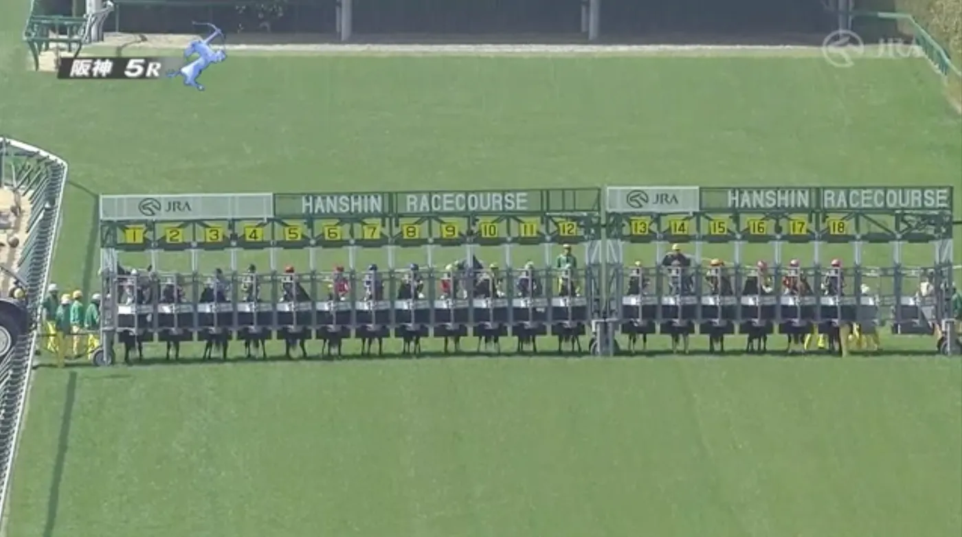 阪神競馬場の発馬機 12番と13番の間に継ぎ目
