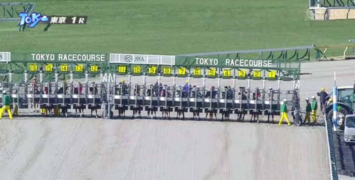 東京競馬場の発馬機 11番と12番の間に継ぎ目